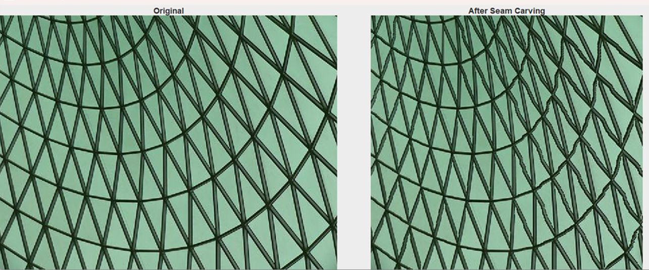 Seam Carving before image